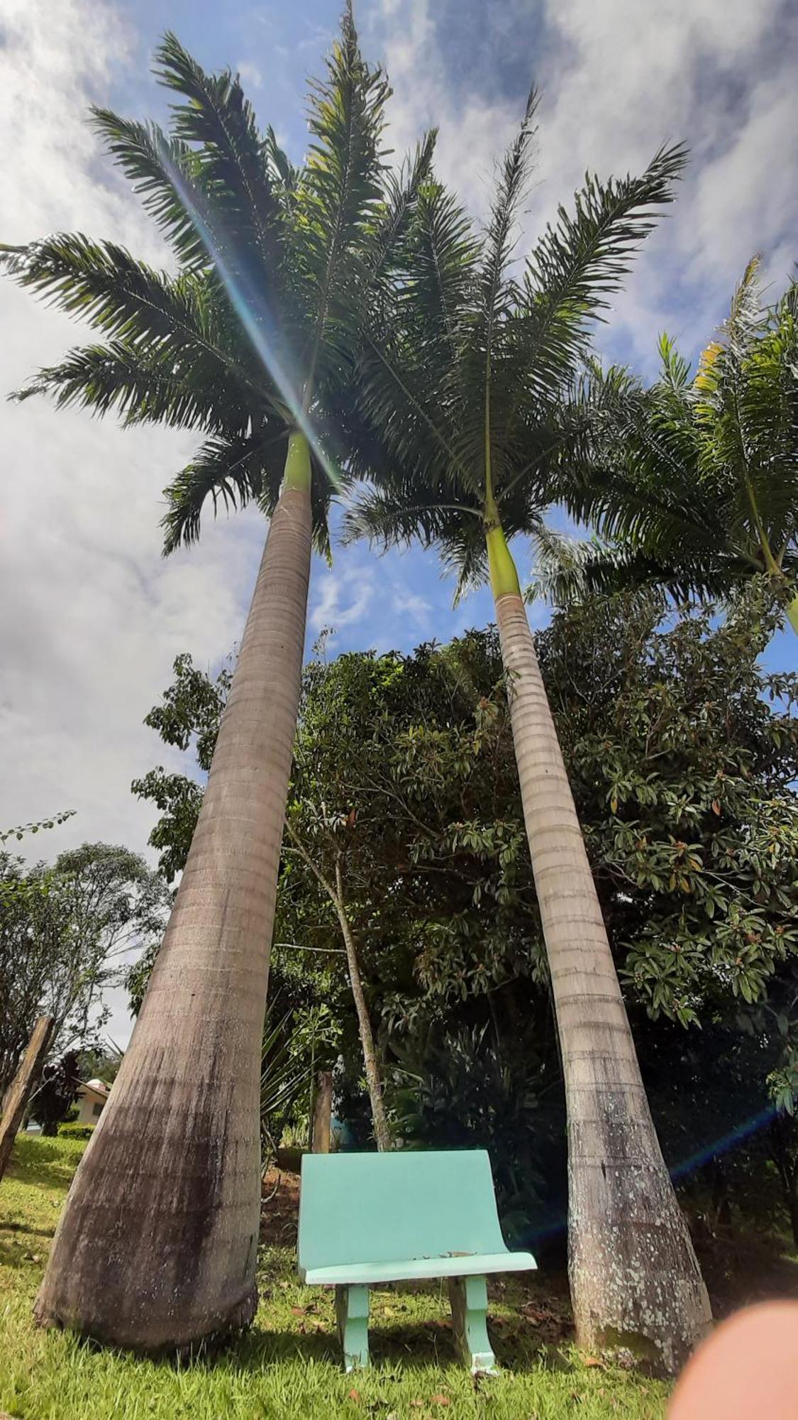Estalagem Chácara São José